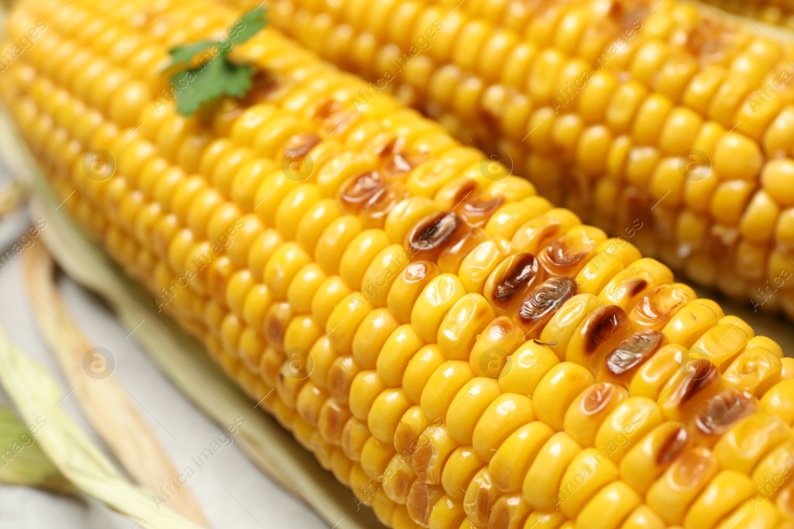 Photo of Delicious grilled sweet corn cobs on light background, closeup