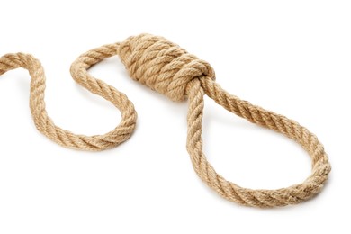 Rope noose with knot on white background