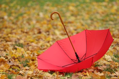 Open umbrella and fallen autumn leaves on grass in park