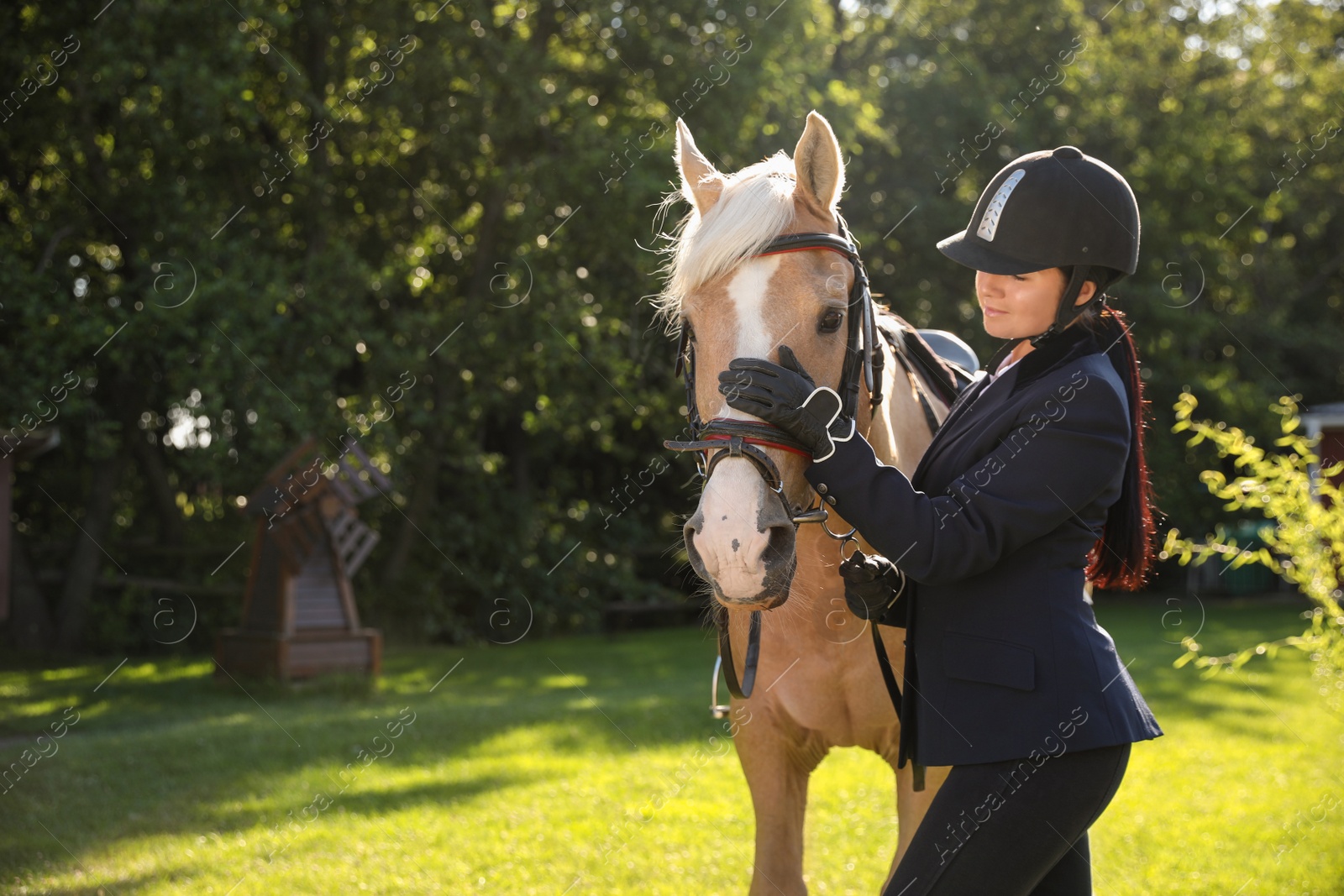 Photo of Young woman in horse riding suit and her beautiful pet outdoors on sunny day