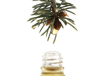 Photo of Essential oil dropping from pine branch into little bottle on white background