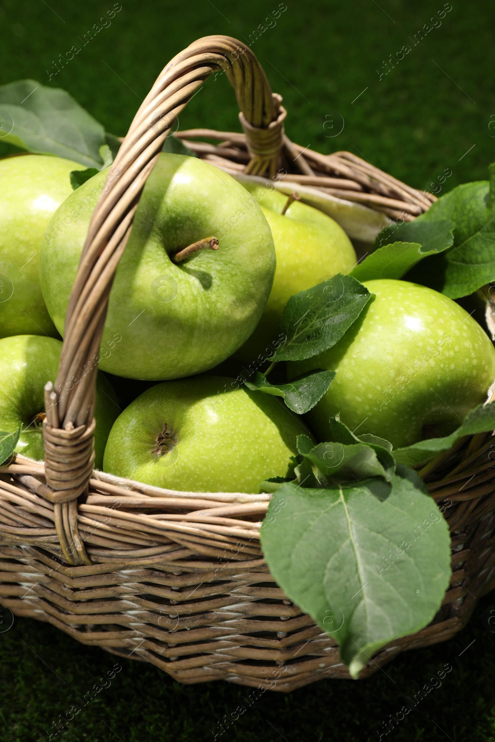 Photo of Ripe green apples with leaves in wicker basket on grass, closeup