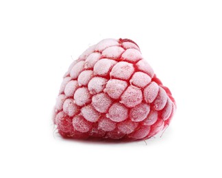 One tasty frozen raspberry isolated on white