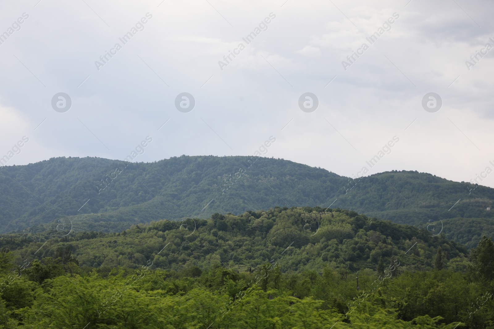 Photo of Picturesque view of mountains, trees and hills on cloudy day