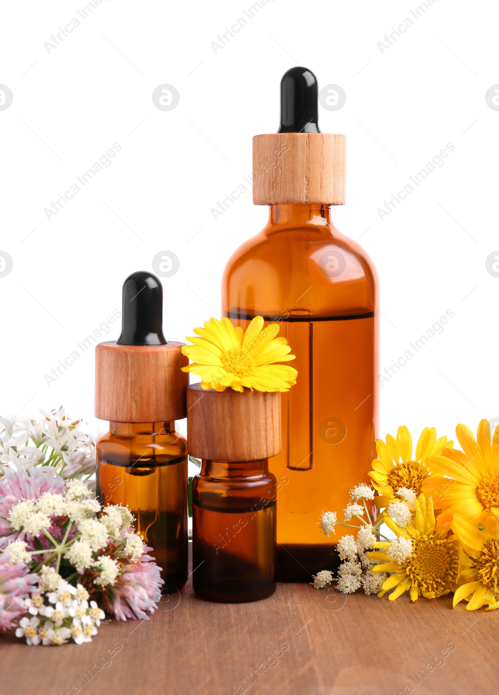 Photo of Bottles of essential oils and different wildflowers on wooden table against white background