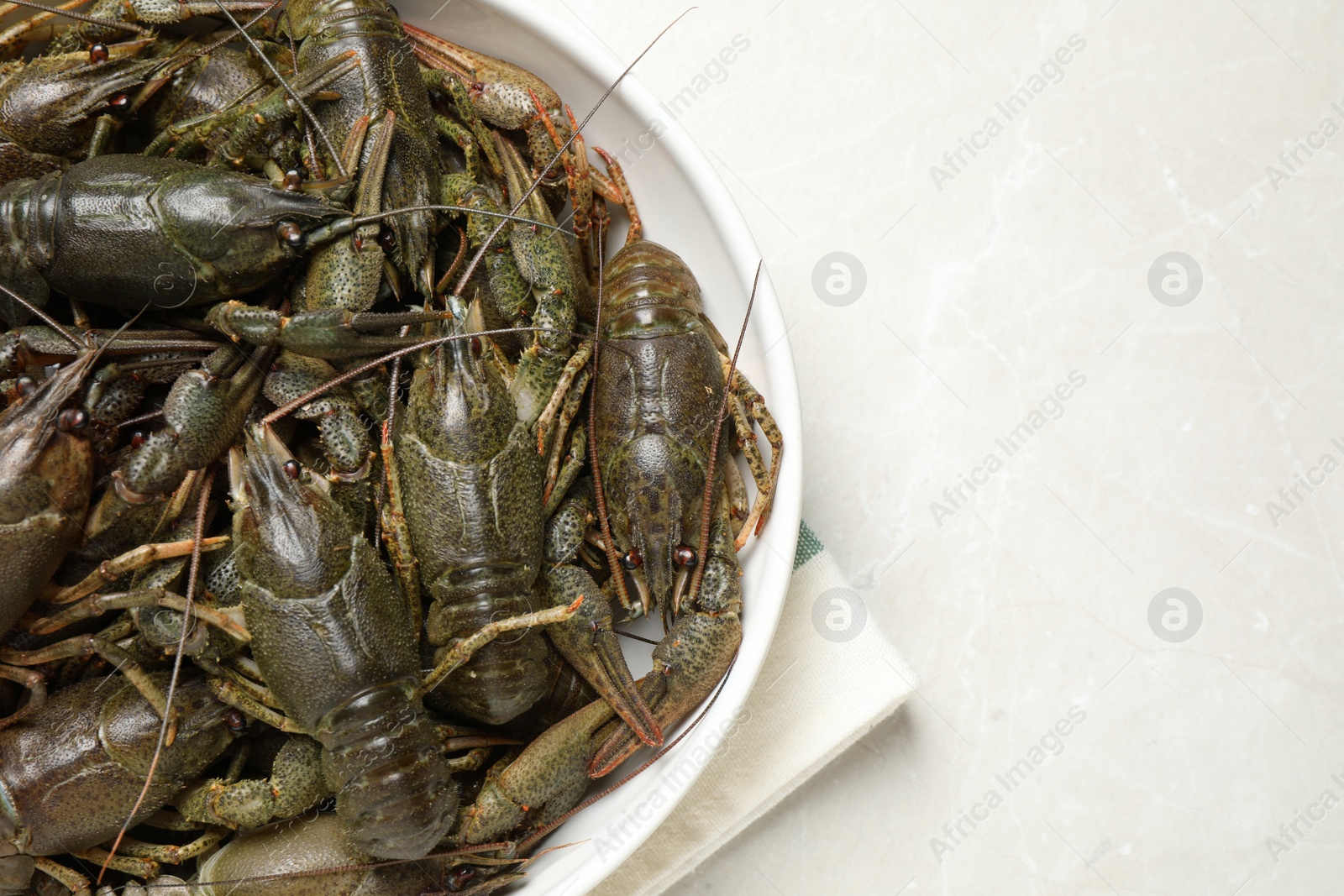 Photo of Fresh raw crayfishes on marble table, top view. Space for text