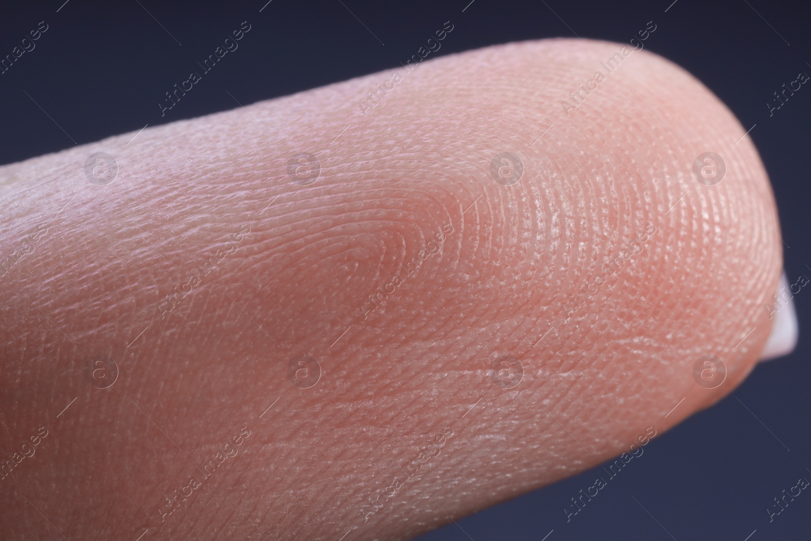Photo of Finger with friction ridges on dark background, macro view