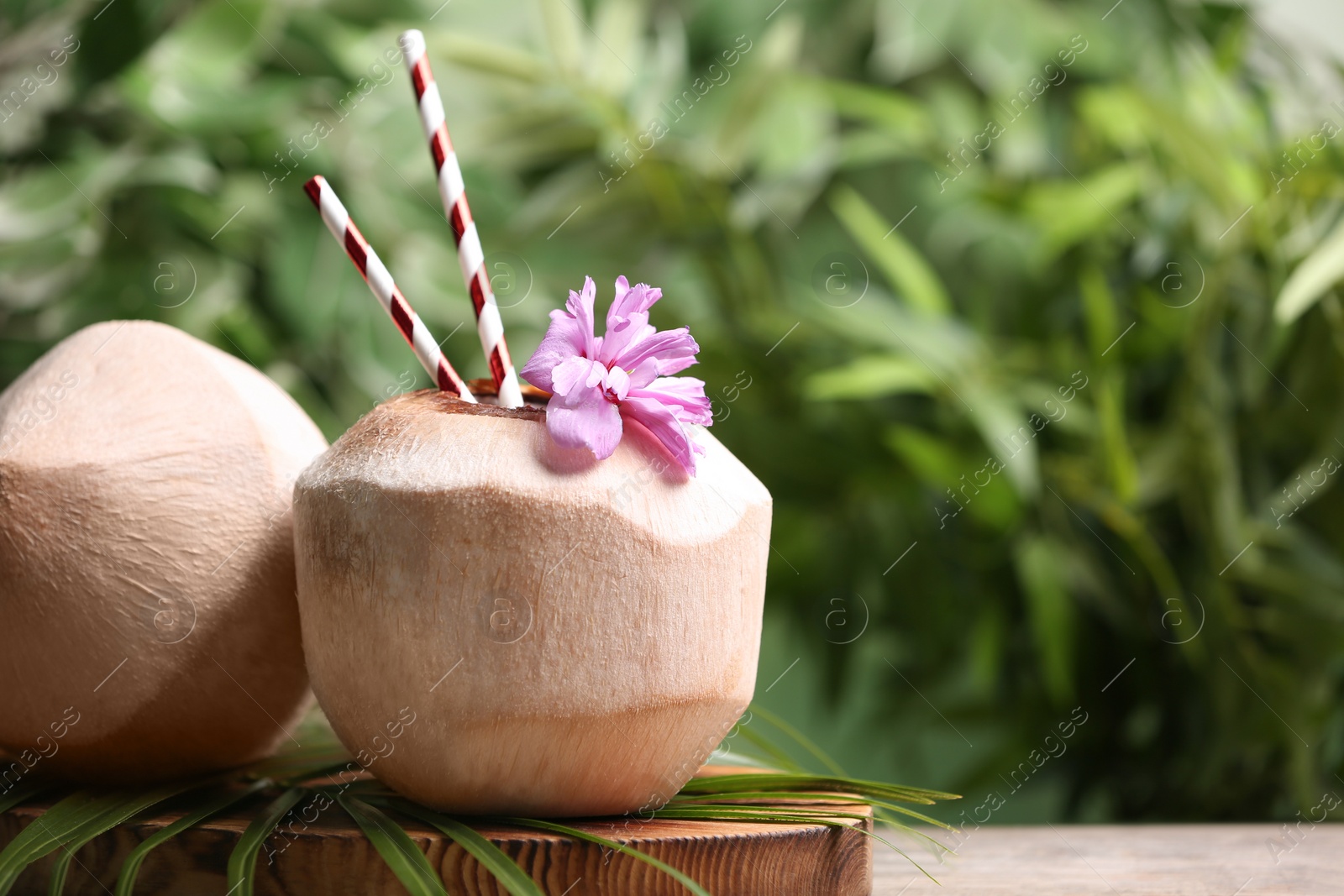 Photo of Young peeled coconuts with straws, palm leaf and flower on wooden table. Space for text