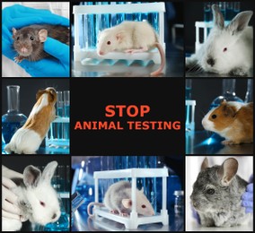 Image of Collage with different photos and text STOP ANIMAL TESTING 