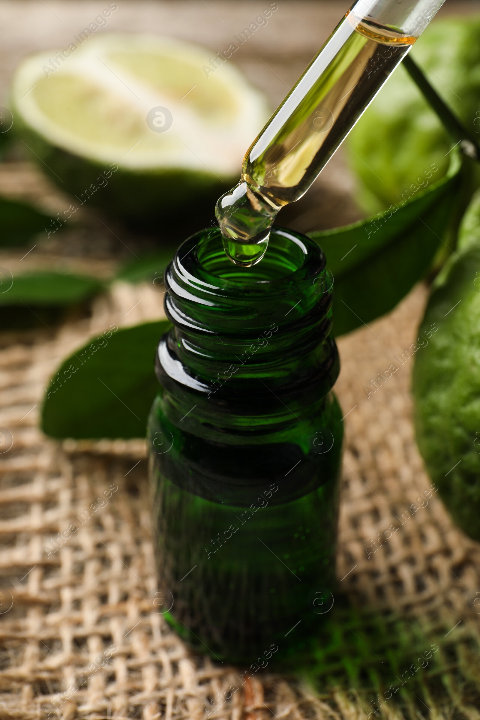 Photo of Bergamot essential oil dripping from pipette into bottle on table, closeup