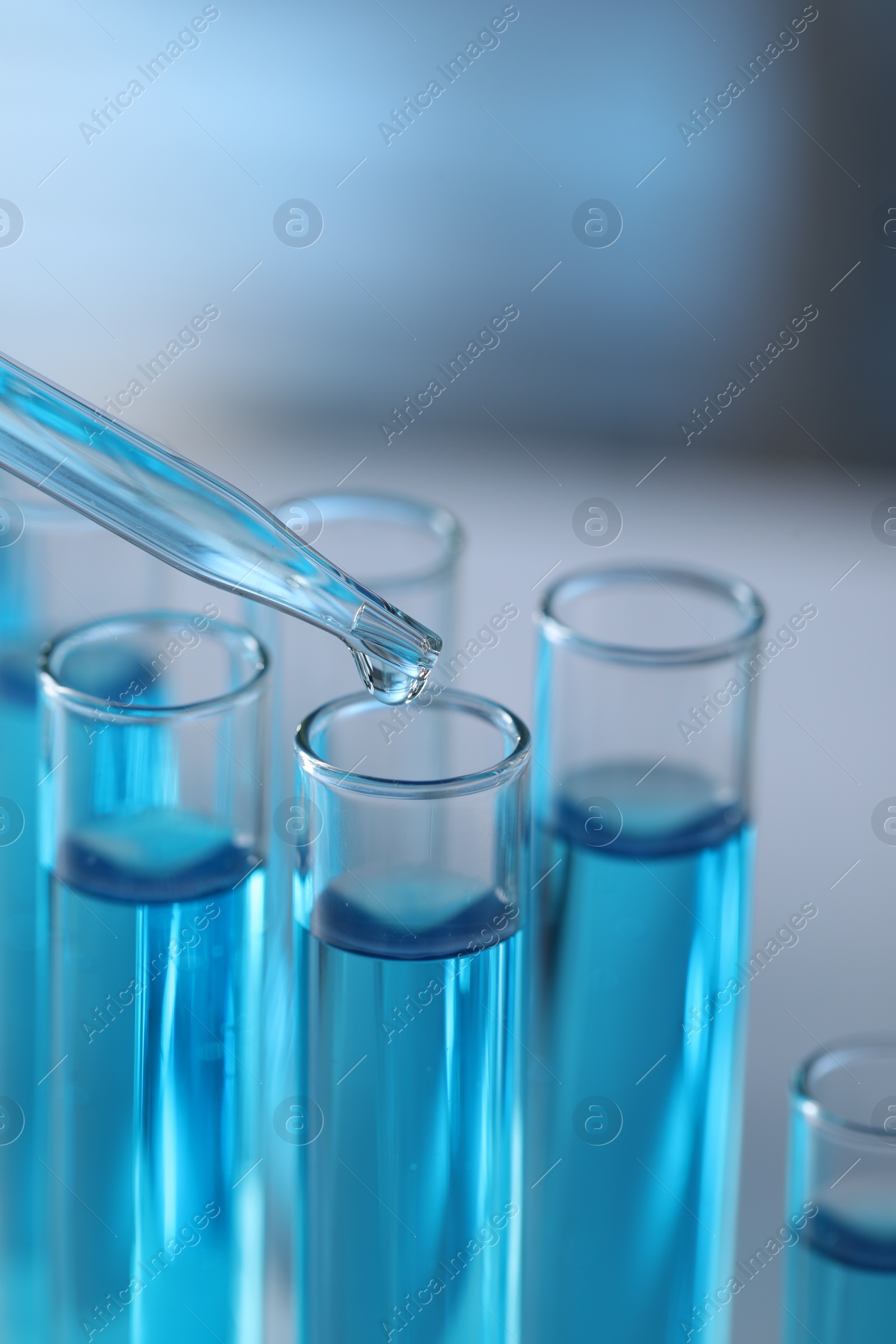 Photo of Dripping liquid from pipette into test tube in laboratory, closeup