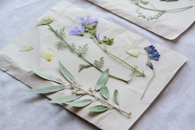 Photo of Sheets of paper with dried flowers and leaves on white fabric, closeup