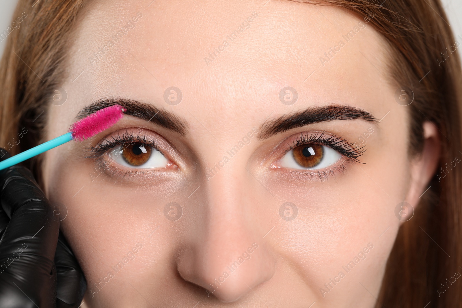 Photo of Beautician brushing woman's eyebrows after tinting, closeup