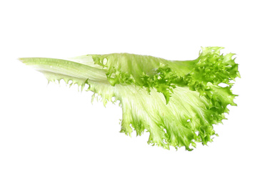 Photo of Fresh green lettuce isolated on white. Sandwich ingredient