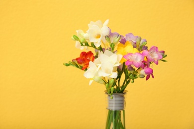 Photo of Beautiful freesia flowers on color background