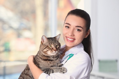 Photo of Veterinarian doc with cat in animal clinic. Space for text