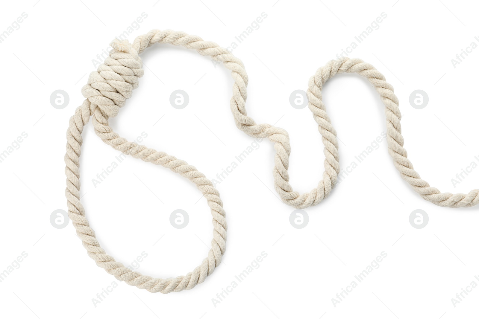 Photo of Rope noose with knot on white background, top view