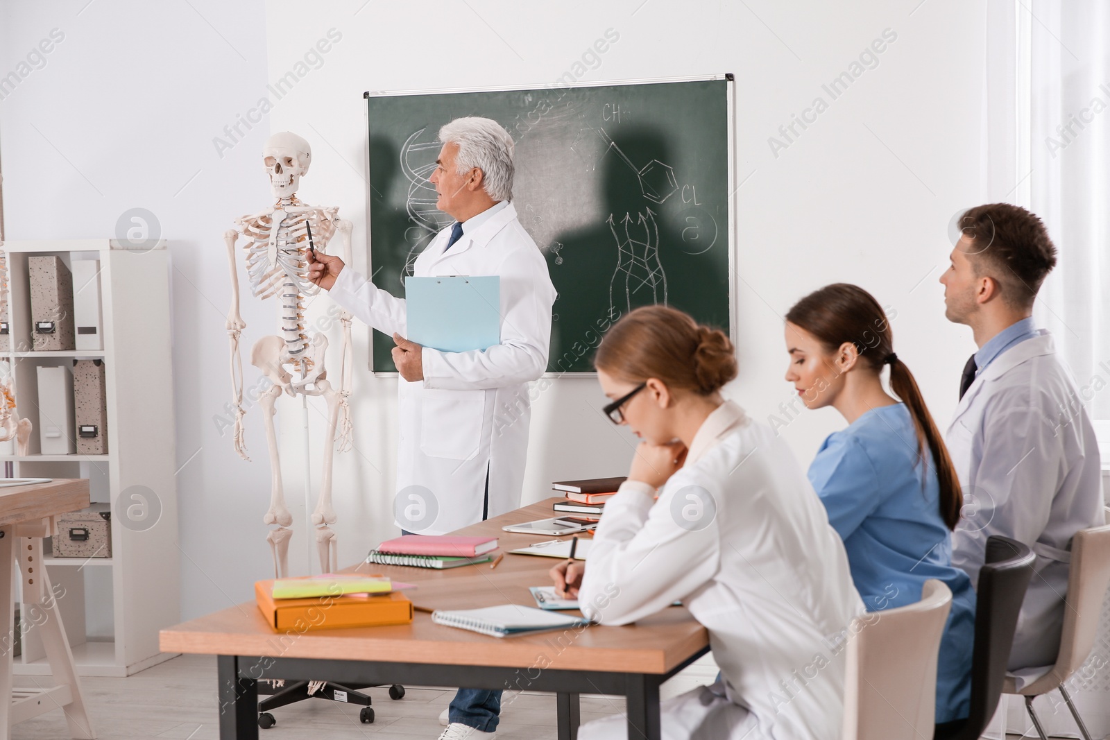 Photo of Medical students and professor studying human skeleton anatomy in classroom