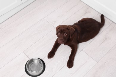 Photo of Cute chocolate Labrador Retriever puppy near feeding bowl on floor indoors, above view. Lovely pet
