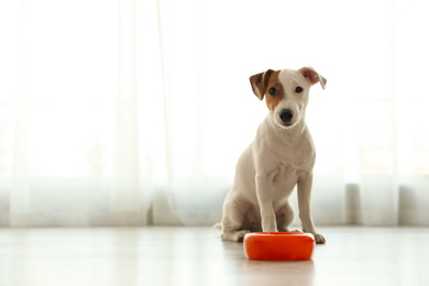 Photo of Cute Jack Russel Terrier near feeding bowl indoors,  space for text. Lovely dog