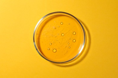 Photo of Petri dish with liquid on orange background, top view