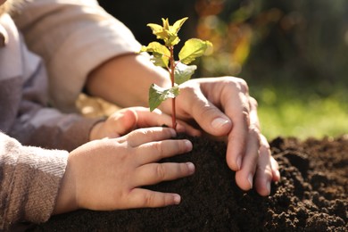 Photo of Mother and daughter planting young tree in garden, closeup