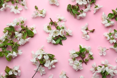 Photo of Flat lay composition of beautiful fresh spring flowers on color background