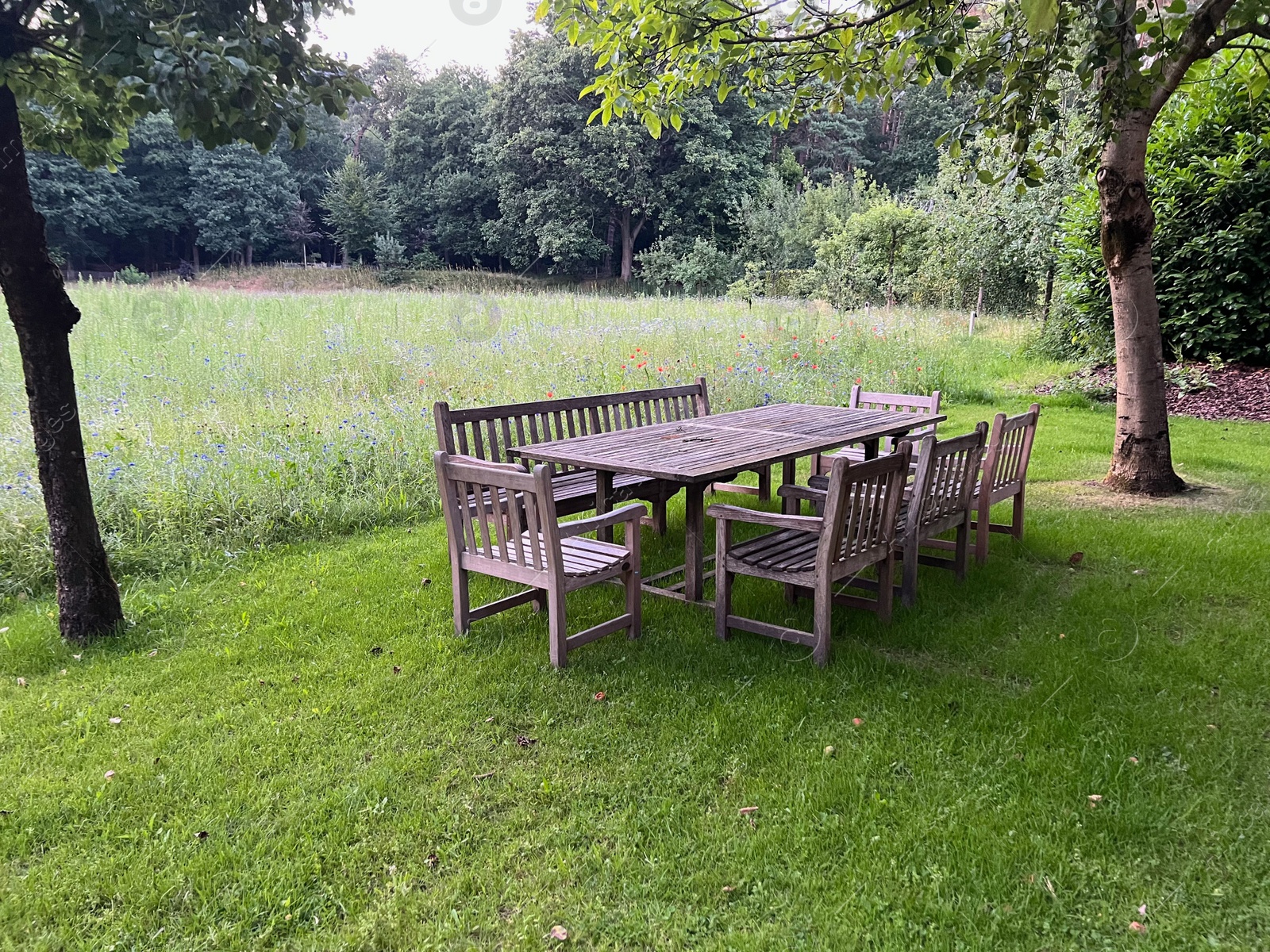 Photo of Wooden table with bench and chairs in garden. Landscape design