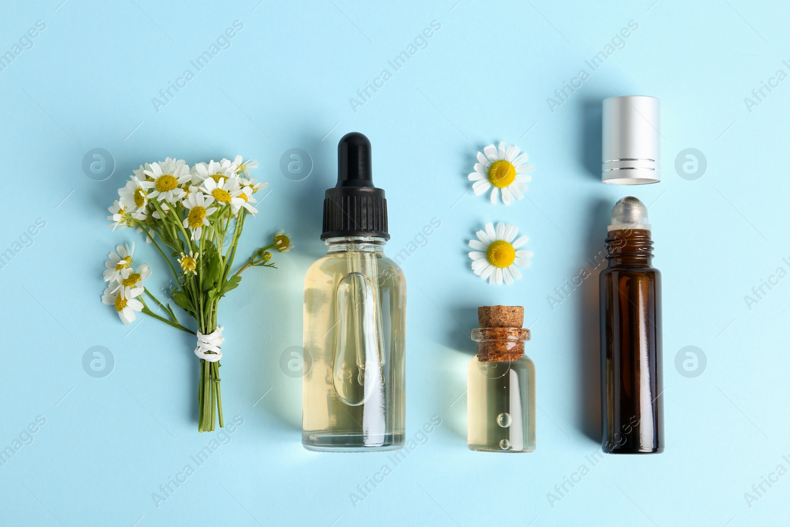 Photo of Flat lay composition with chamomile essential oil on light blue background