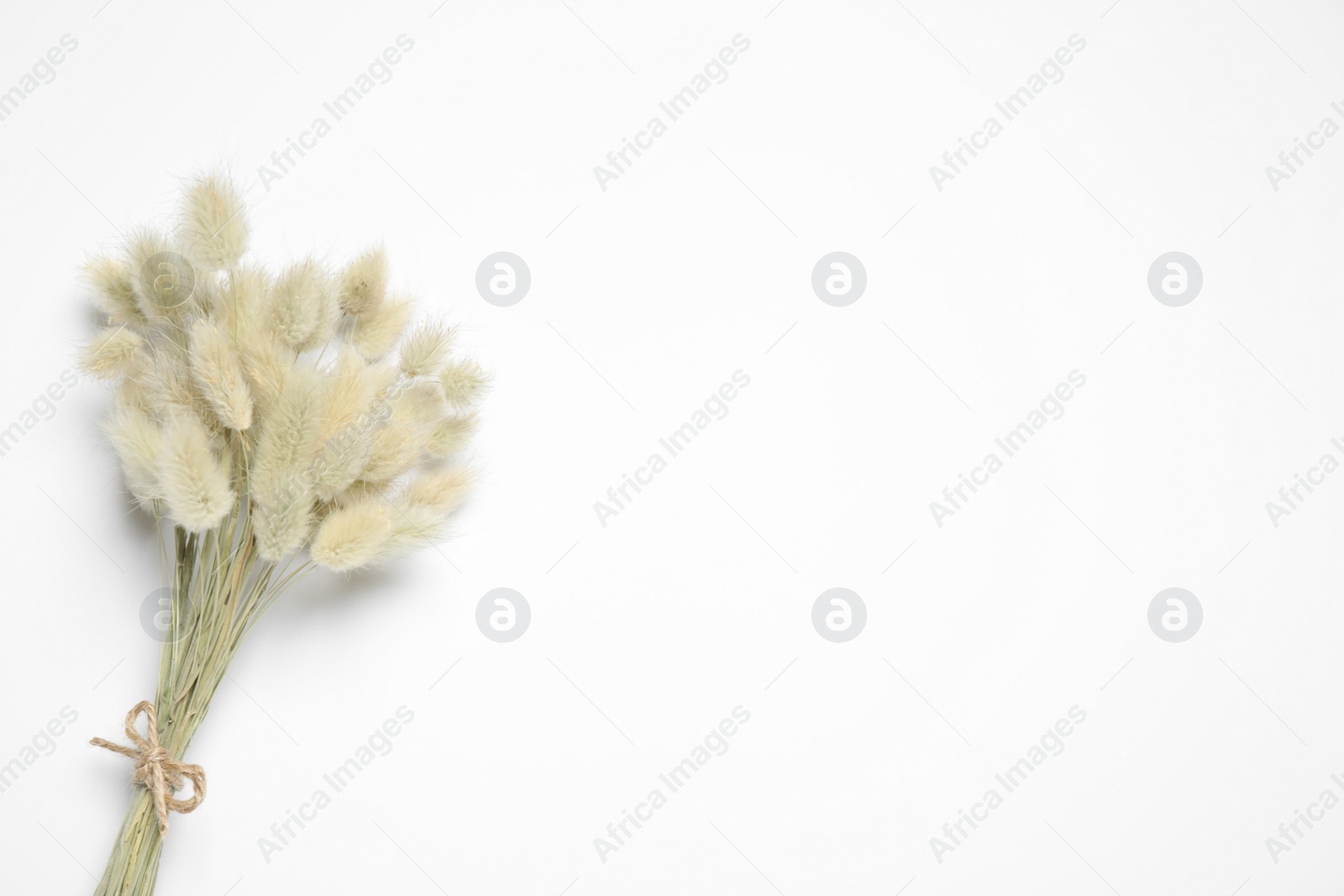 Photo of Bunch of beautiful dried flowers on white background, top view