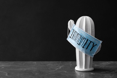 Photo of Medical mask with word Immunity hanging on ceramic cactus against grey background. Space for text