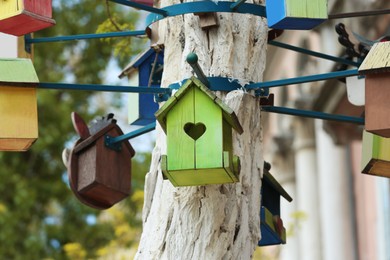 Photo of Lots of colorful wooden bird houses on tree outdoors