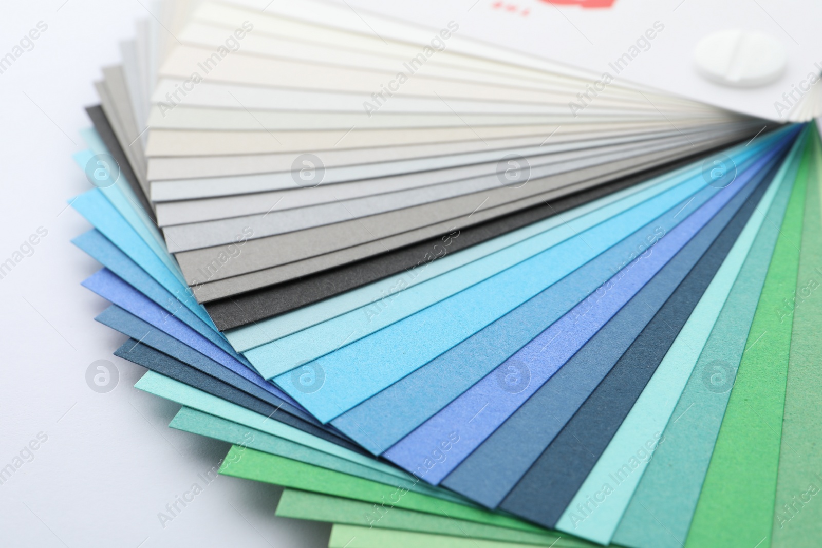 Photo of Color palette samples on white background, closeup