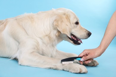 Photo of Woman brushing cute Labrador Retriever dog's hair on light blue background, closeup