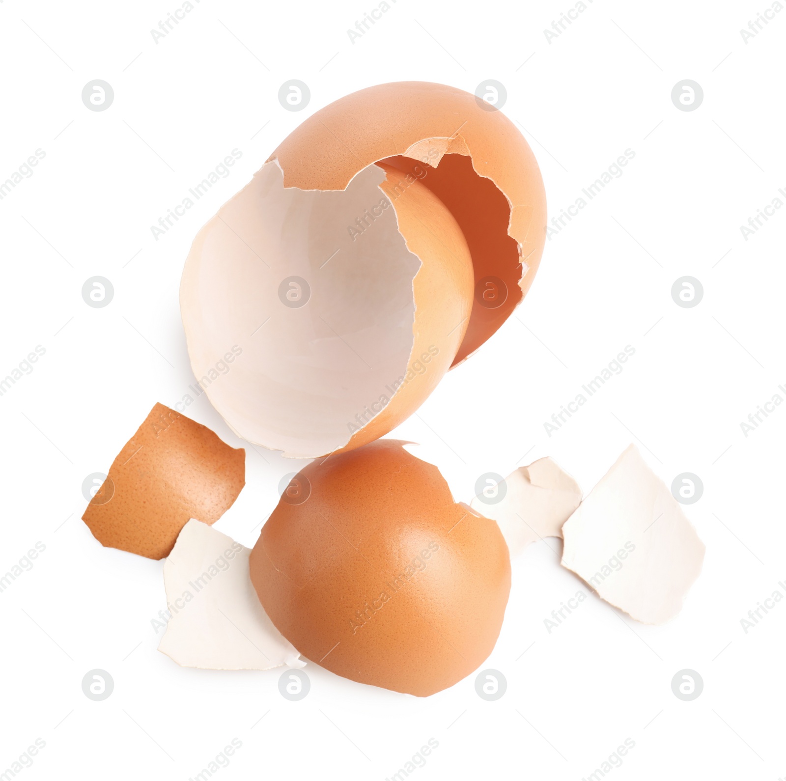 Photo of Shells of chicken egg isolated on white, top view