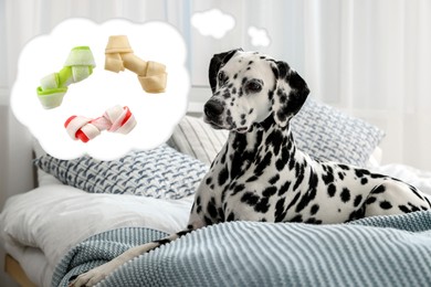 Image of Cute Dalmatian dog dreaming about tasty treats on bed indoors. Thought cloud with knotted bones