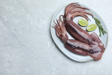 Photo of Fresh raw squids with lime and rosemary on light marble table, top view. Space for text