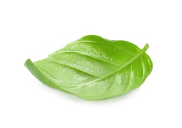 Photo of Fresh green basil leaf on white background