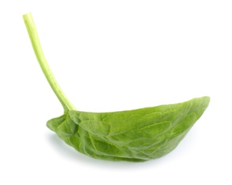 Fresh leaf of spinach isolated on white