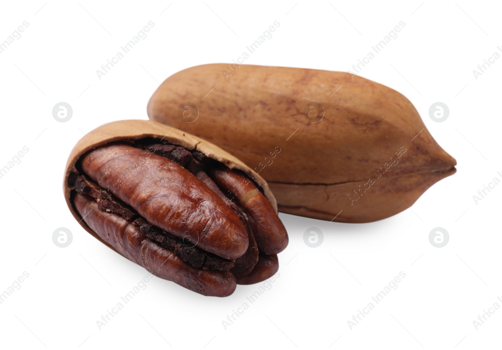 Photo of Two tasty pecan nuts isolated on white