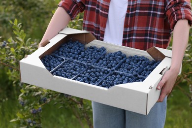 Photo of Woman holding box with containersfresh blueberries outdoors, closeup. Seasonal berries