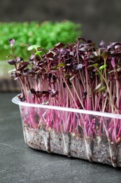 Photo of Fresh organic microgreen on grey table, closeup