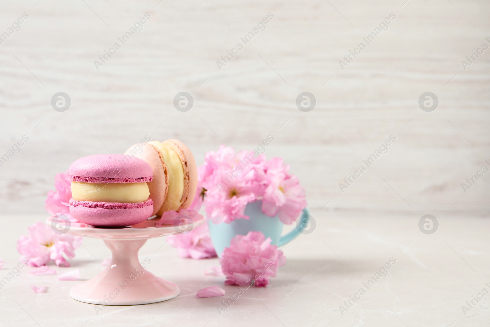 Photo of Delicious colorful macarons and pink flowers on light grey table, space for text