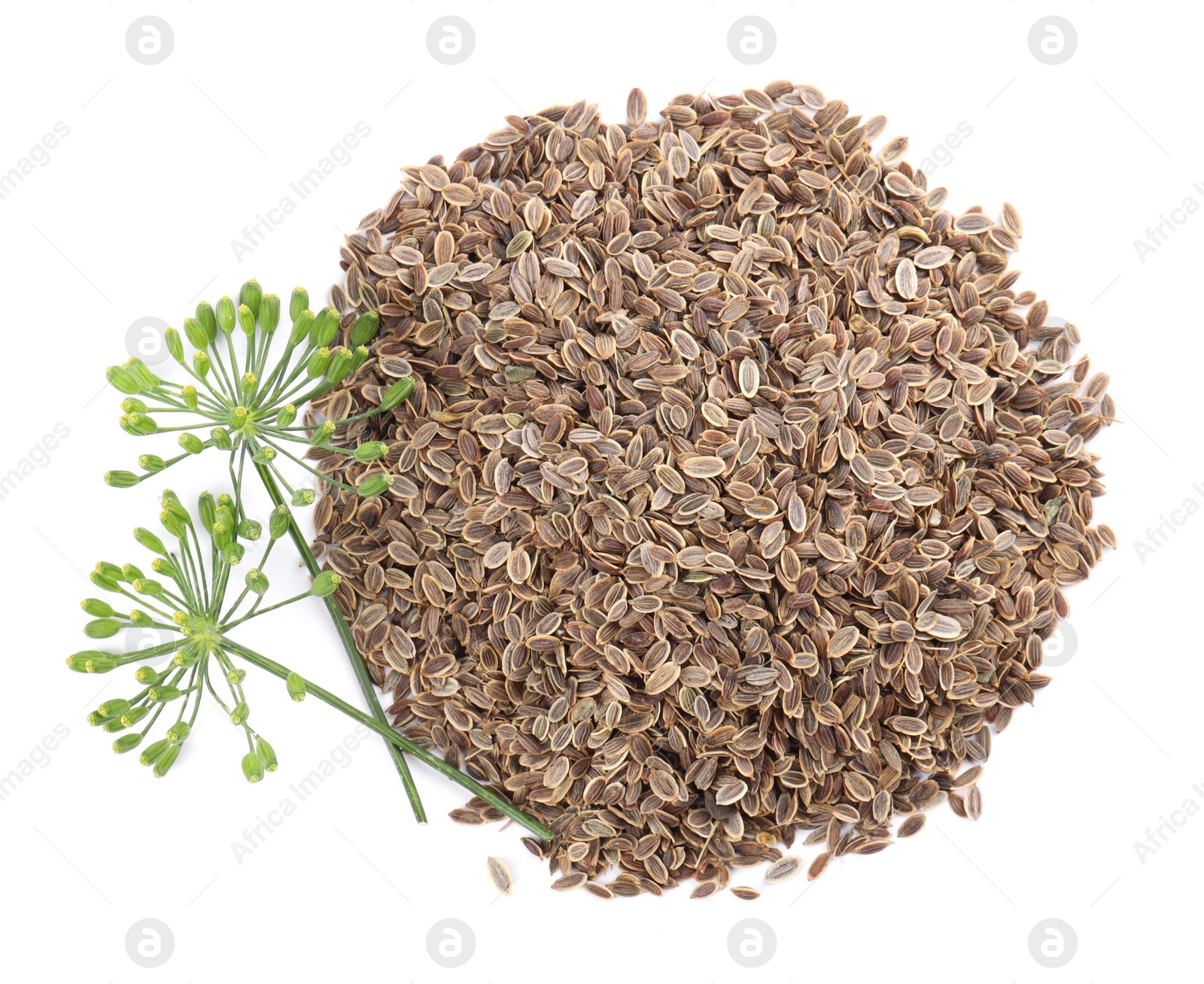 Photo of Heap of dry seeds and fresh dill flowers isolated on white, top view