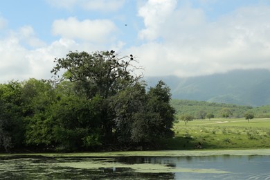 Photo of Picturesque view of safari park with trees and lake