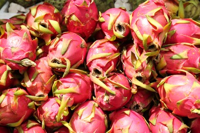 Pile of delicious fresh ripe pitahayas, closeup