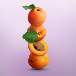 Image of Stack of fresh ripe apricots on light violet gradient background
