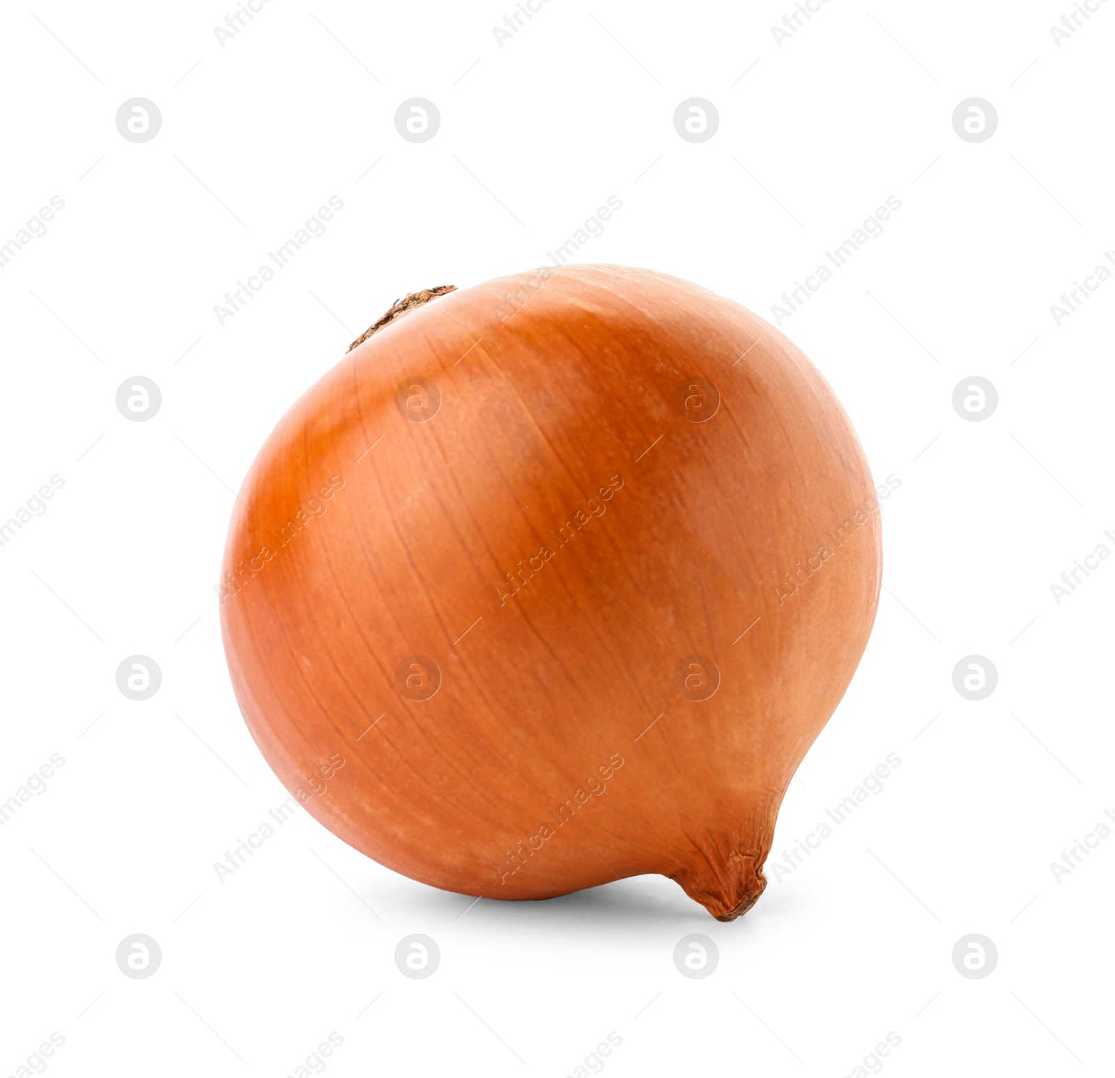 Photo of Fresh ripe onion on white background