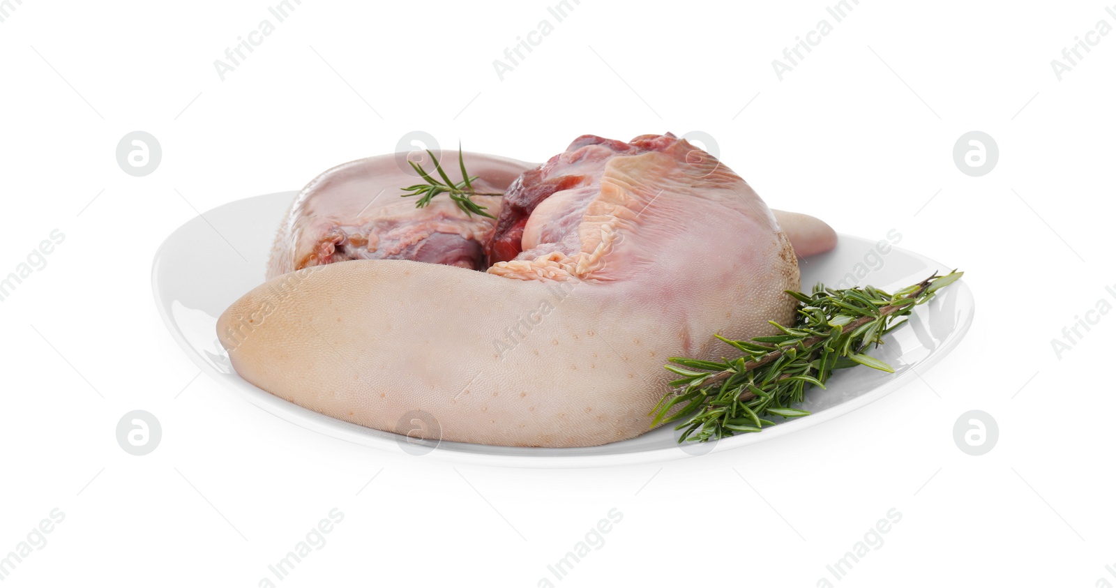 Photo of Plate with raw beef tongues and rosemary on white background