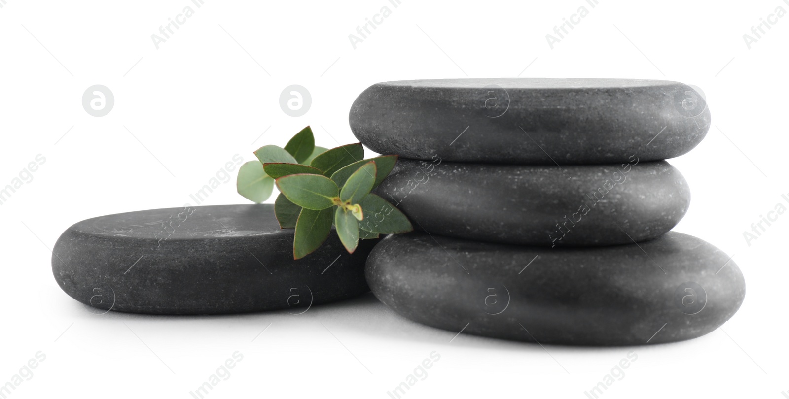 Photo of Black spa stones with green branch isolated on white